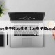pg电子和pp电子（pg电子和pgo）